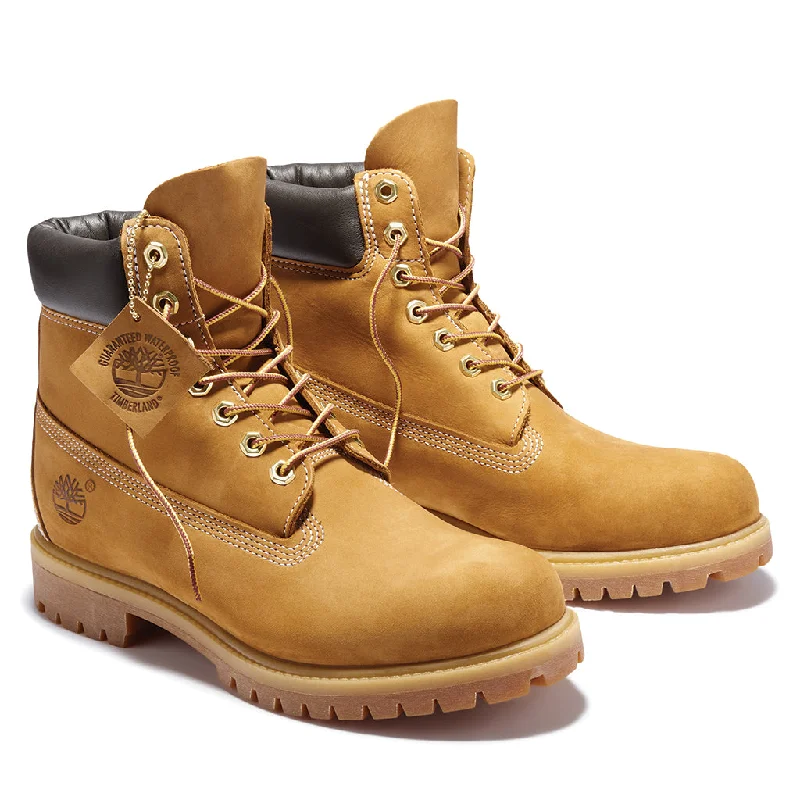 Men's Timberland Premium 6" WP Boot